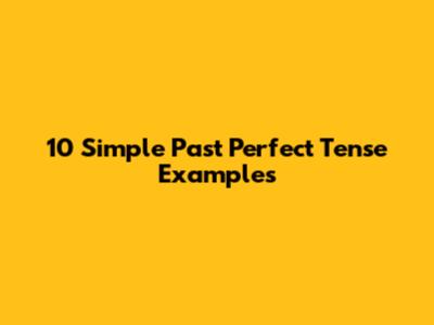 10 Simple Past Perfect Tense Examples
