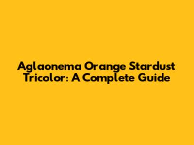 Aglaonema Orange Stardust Tricolor: A Complete Guide
