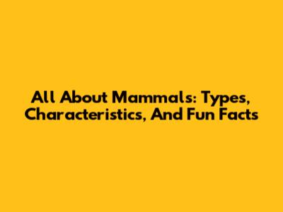 All About Mammals: Types, Characteristics, And Fun Facts