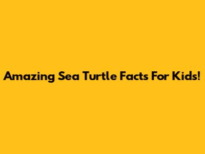 Amazing Sea Turtle Facts For Kids!