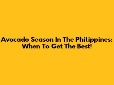 Avocado Season In The Philippines: When To Get The Best!