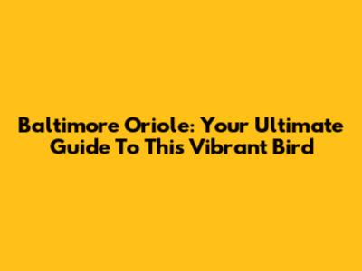 Baltimore Oriole: Your Ultimate Guide To This Vibrant Bird