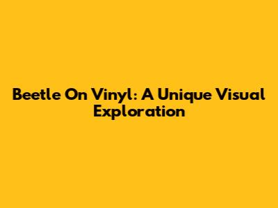 Beetle On Vinyl: A Unique Visual Exploration