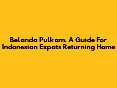 Belanda Pulkam: A Guide For Indonesian Expats Returning Home