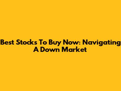 Best Stocks To Buy Now: Navigating A Down Market