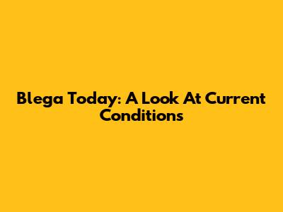 Blega Today: A Look At Current Conditions