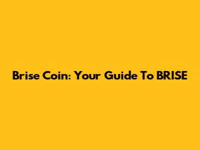 Brise Coin: Your Guide To BRISE