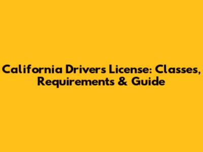 California Driver's License: Classes, Requirements & Guide