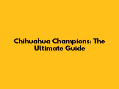 Chihuahua Champions: The Ultimate Guide