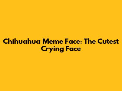 Chihuahua Meme Face: The Cutest Crying Face