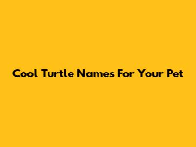 Cool Turtle Names For Your Pet