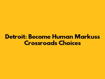 Detroit: Become Human Markus's Crossroads Choices