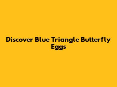 Discover Blue Triangle Butterfly Eggs