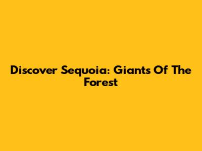 Discover Sequoia: Giants Of The Forest