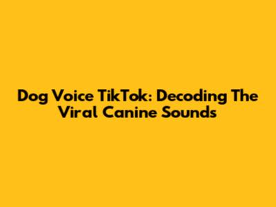 Dog Voice TikTok: Decoding The Viral Canine Sounds