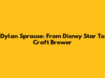 Dylan Sprouse: From Disney Star To Craft Brewer