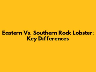 Eastern Vs. Southern Rock Lobster: Key Differences