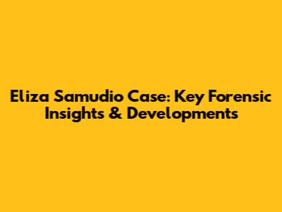 Eliza Samudio Case: Key Forensic Insights & Developments
