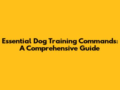 Essential Dog Training Commands: A Comprehensive Guide