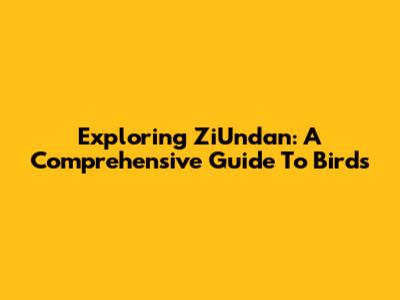 Exploring ZiUndan: A Comprehensive Guide To Birds