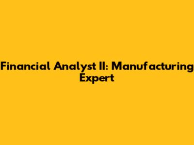 Financial Analyst II: Manufacturing Expert