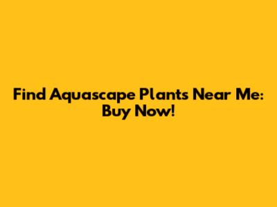 Find Aquascape Plants Near Me: Buy Now!