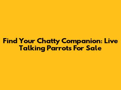 Find Your Chatty Companion: Live Talking Parrots For Sale