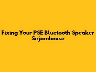 Fixing Your PSE Bluetooth Speaker Sejamboxse