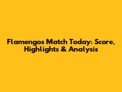 Flamengo's Match Today: Score, Highlights & Analysis