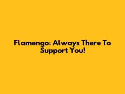 Flamengo: Always There To Support You!