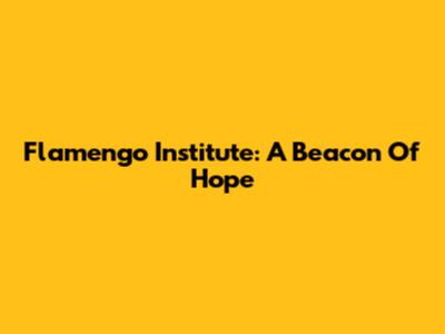 Flamengo Institute: A Beacon Of Hope