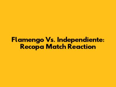 Flamengo Vs. Independiente: Recopa Match Reaction
