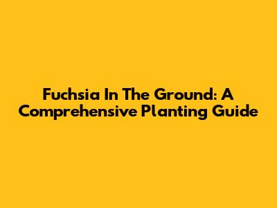 Fuchsia In The Ground: A Comprehensive Planting Guide