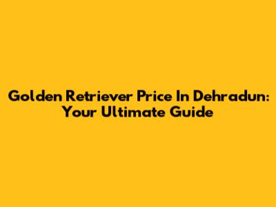 Golden Retriever Price In Dehradun: Your Ultimate Guide