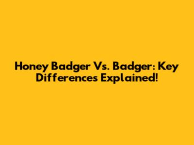 Honey Badger Vs. Badger: Key Differences Explained!