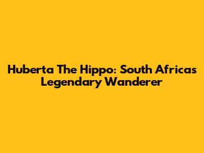 Huberta The Hippo: South Africa's Legendary Wanderer