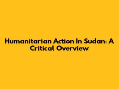 Humanitarian Action In Sudan: A Critical Overview