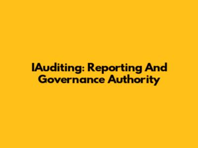 IAuditing: Reporting And Governance Authority