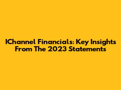 IChannel Financials: Key Insights From The 2023 Statements