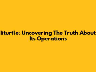 Iiturtle: Uncovering The Truth About Its Operations