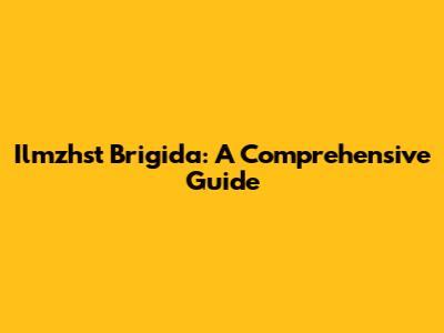 Ilmzhst Brigida: A Comprehensive Guide