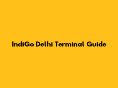 IndiGo Delhi Terminal Guide