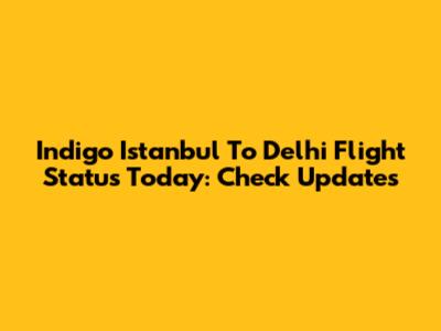 Indigo Istanbul To Delhi Flight Status Today: Check Updates