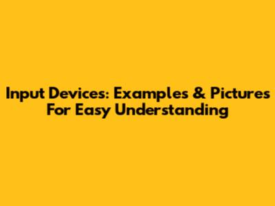 Input Devices: Examples & Pictures For Easy Understanding