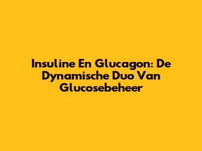 Insuline En Glucagon: De Dynamische Duo Van Glucosebeheer