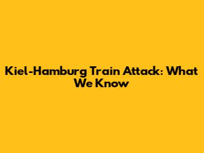 Kiel-Hamburg Train Attack: What We Know