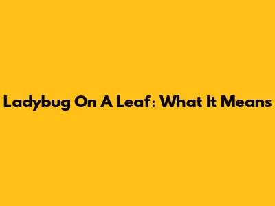 Ladybug On A Leaf: What It Means