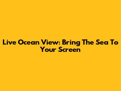 Live Ocean View: Bring The Sea To Your Screen