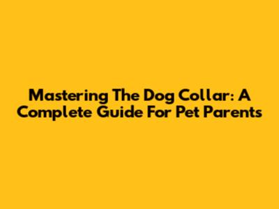 Mastering The Dog Collar: A Complete Guide For Pet Parents