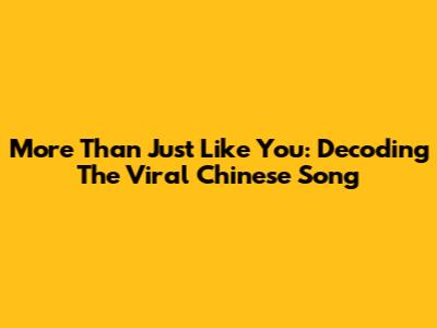More Than Just Like You: Decoding The Viral Chinese Song